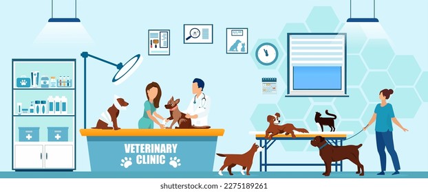 Vector of a veterinarian and his assistant taking care of dogs and cats in a vet clinic.