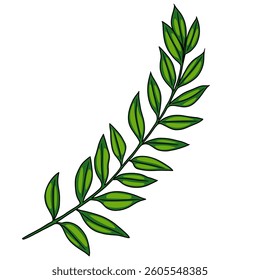 A vector vibrant green leaf branch with multiple leaflets, showcasing a natural and fresh appearance. The leaves are glossy and have a rich green color, arranged symmetrically along the stem.
