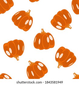 Vector vibrant seamless pattern pimpkin isolated on white. Design for textile, fabric, banner, wrapping, scrapbooking, packaging, halloween, fall autumn