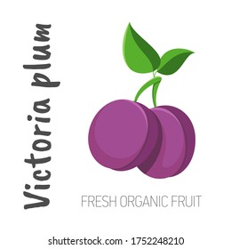 Vector Victoria plum isolated on a white background with the words Victoria plum