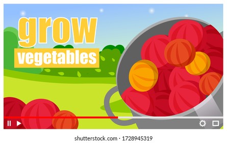 Vector video player interface. Screensaver of video tutorial for internet or vlog about growing vegetables. Gardening blog.Vegetable garden for healthy food. Bright fresh vegetables stacked in a pan