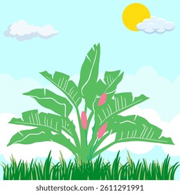 vector view of flowers and leaves with a sky background