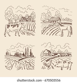 Vector village and big field. Landscape with farming and animals. Set of for illustrations in retro style. Village landscape with farm animals