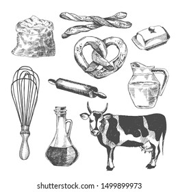 vector village food illustration. flat lay dairy products and utensils. pastry, flower, cow, milk jar, rolling pin, egg beater, butter. organic cooking ingredients for bakery