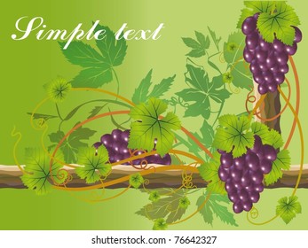 vector vine