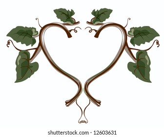 Vector Vine Collection  is hand drawn original artwork.