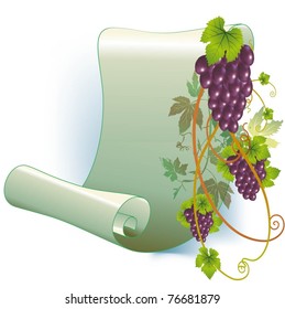 vector vine on a white background