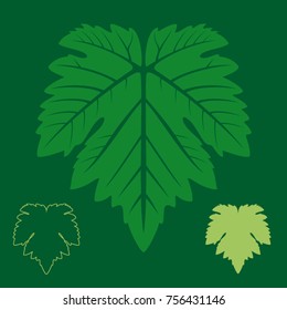 Vector Vine Symmetrical Leaf Icon On Flat Solid Green Background