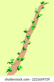 vector vines wrapped on a branch with green leaves