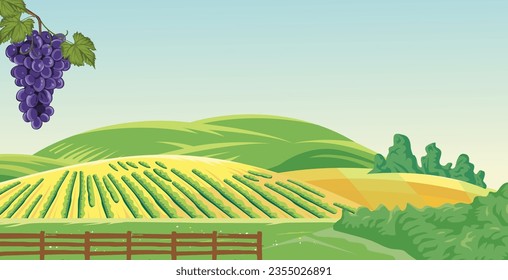 vector vineyard with hills background, with bright clouds and beautiful view 