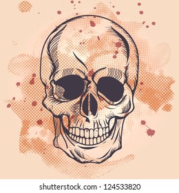 Vector vintag illustration with skull.