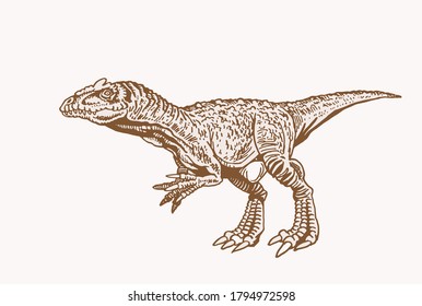 Vector vintage Allosaurus , sepia background,graphical illustration