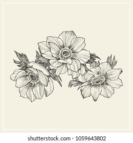 Vector vintage anemone set. Hand drawn illustration. Great for wedding invitations, birthday, valentines, save the date and greeting cards. Engraved decor element