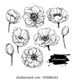 Vector vintage anemone set. Hand drawn illustration. Great for wedding invitations, birthday, valentine's, save the date and greeting cards. Engraved decor element