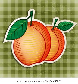 vector vintage apricot sticker