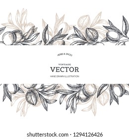 Vector vintage background with almond branch in engraving style. Hand drawn texture with fruit on tree.