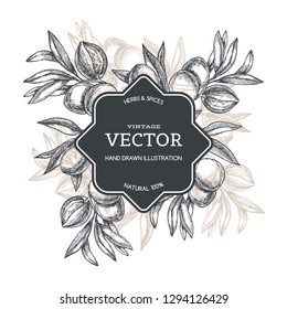 Vector vintage background with almond branch in engraving style. Hand drawn texture with fruit on tree.