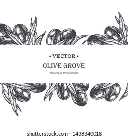 Vector vintage background with border of olive branches isolated on white. Hand drawn botanical texture with plant in engraving style. Black and white sketch for food design.