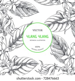  Vektorillustration, vintage Hintergrund. Botanische, handgezeichnete Illustration von Yang-ylang blühenden Ästen. Blumenstruktur mit tropischen Blumen