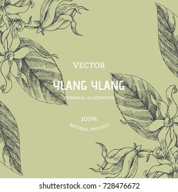 Vector vintage background. Botanical hand drawn illustration of ylang-ylang blooming branches. Floral texture with tropical flowers