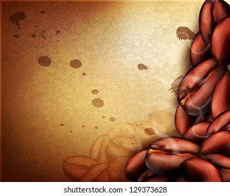 vector vintage background with coffee beans