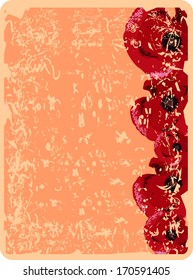 vector vintage background with flowers