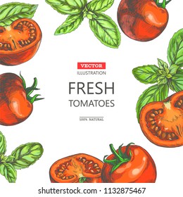 Vector vintage background with fresh vegetables border on white. Color hand drawn illustration with full and halves tomatoes and basil leaves in sketch style. Template for label or card design.