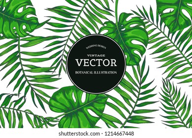 Vector vintage background with green palm and monstera leaves. Tropical plants in engraving style. Hand drawn color botanical illustration for invitation or greeting card design