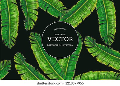 Vector vintage background with green palm leaves. Tropical plants in engraving style. Hand drawn color botanical illustration for invitation or greeting card design
