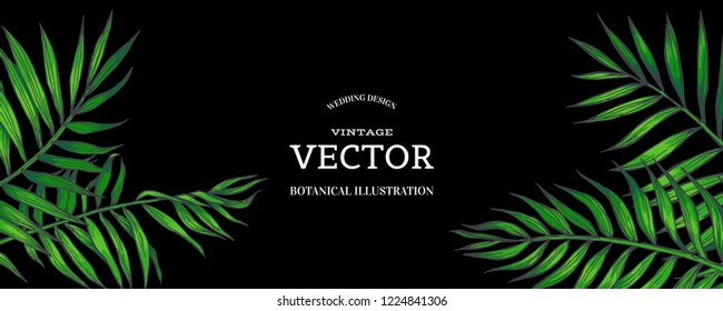 Vector vintage background with green palm leaves. Tropical plants in engraving style. Hand drawn color botanical illustration for invitation or greeting card design