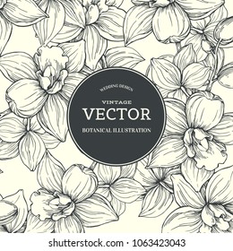Fondo vectorial vintage con orquídeas en estilo grabado. Textura botánica dibujada a mano con flores sobre blanco. Diseño de boda floral.