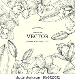 Vector vintage background with orchids in engraving style. Hand drawn botanical texture with flowers on white. Floral wedding design.