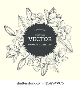 Vector vintage background with orchids in engraving style. Hand drawn botanical texture with flowers on white. Floral wedding design.