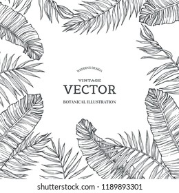 Vector vintage background with palm leaves isolated on white. Tropical plants in engraving style. Hand drawn botanical illustration for invitation or greeting card design