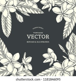 Vector vintage background with plumeria flowers. Hand drawn botanical texture with blooming tropical plants. Floral card design.