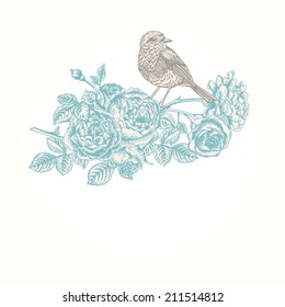 Vector vintage background with roses and birds.