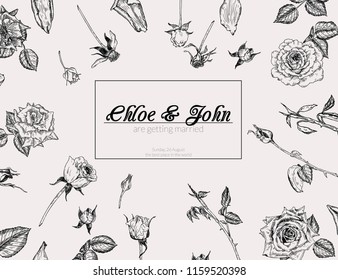 Vector vintage background with roses. Hand drawn graphic template for birthday, business, anniversary, wedding, party invitation, holidays.