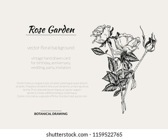 Vector vintage background with roses. Hand drawn graphic template for birthday, business, anniversary, wedding, party invitation, holidays.