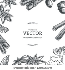 Vector vintage background with spices isolated on white. Hand drawn texture with cardamom and cinnamon in engraving style.