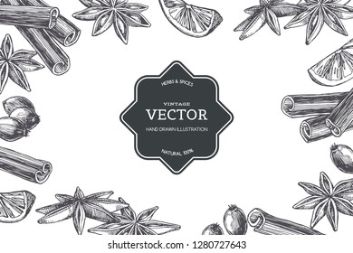 Vector vintage background with spices isolated on white. Hand drawn texture with cardamom and cinnamon in engraving style.