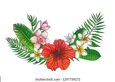 Vector vintage background with tropical bouquet isolated on white. Color botanical illustration with hibiscus, orchid and plumeria flowers and palm leaves. Floral composition.