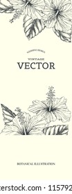 Vector vintage background with tropical flowers on white. Botanical hand drawn illustration of hibiscus in engraving style for wedding or greeting card design