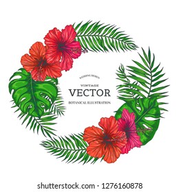 Vector vintage background with tropical wreath isolated on white. Color botanical illustration with orchid and plumeria flowers and palm leaves. Floral border in sketch style.