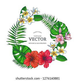 Vector vintage background with tropical wreath isolated on white. Color botanical illustration with hibiscus, orchid and plumeria flowers and palm leaves. Floral border in sketch style.