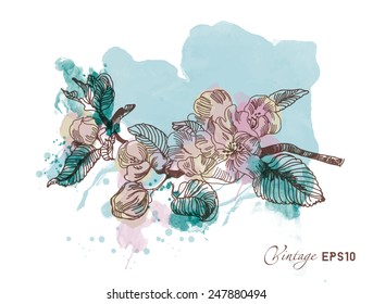 Vector vintage background. Watercolor cherry blossom