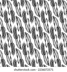 Fondo vectorial vintage con orejas de trigo. Ilustración botánica a mano de espigas en estilo de grabado para panadería o diseño de aceite. Esbozo de cultivo de cereales