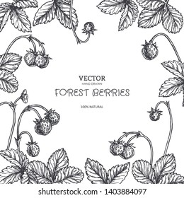 Vector vintage background with wild strawberry in engraving style. Hand drawn botanical texture with berries and leaves. Black and white floral sketch for label or card design.