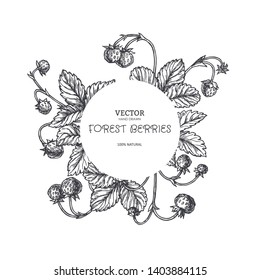Fondo vectorial vintage con fresa silvestre en estilo grabado. Textura botánica dibujada a mano con bayas y hojas. Dibujo floral en blanco y negro para el diseño de etiquetas o tarjetas.