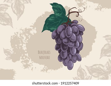 Vector vintage banner with black grape and rough shading on brown background. Imitation of hand drawing on old craft paper with blots and spots. Artwork for packaging design of wine, grape juice, menu