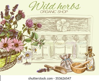 Vector vintage banner with wild flowers and herbs.Design for cosmetics, store, beauty salon, natural and organic products. Can be used like a greeting card. With place for text